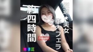 【無】厳選美女★車内フェラコレクション Part3 約4時間20GB FC2PPV 4519730